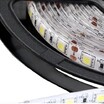 Лента светодиодная SMD 5050 ( 60 LED ) IP65 - Гельветика-Урал