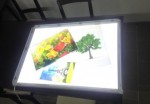 Пленка для создания светопроводящей матрицы LUXFILM. Ширина:1,22м - Гельветика-Урал