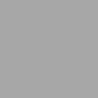 Пластик  Color ПВХ 3050*1560*3 мм, серый - Гельветика-Урал